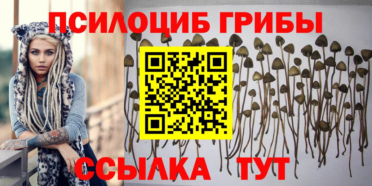 Псилоцибиновые грибы Psilocybe  Псилоцибиновые грибы Psilocybine cubensis  Вход с VPN  Дмитров 