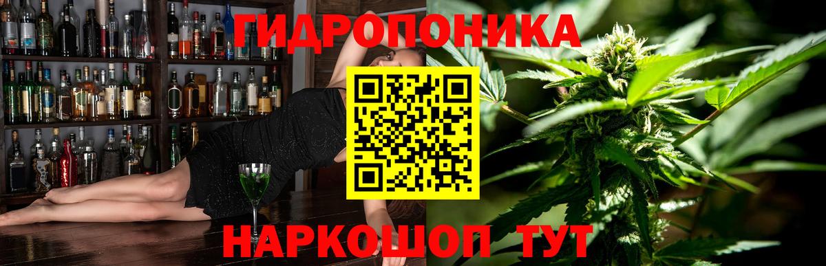 Шишки марихуана Bruce Banner  Бошки марихуана Ganja  Вход с VPN  Марихуана Ganja  Дмитров  Марихуана Bruce Banner 